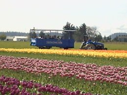 Skagit photos - tractor